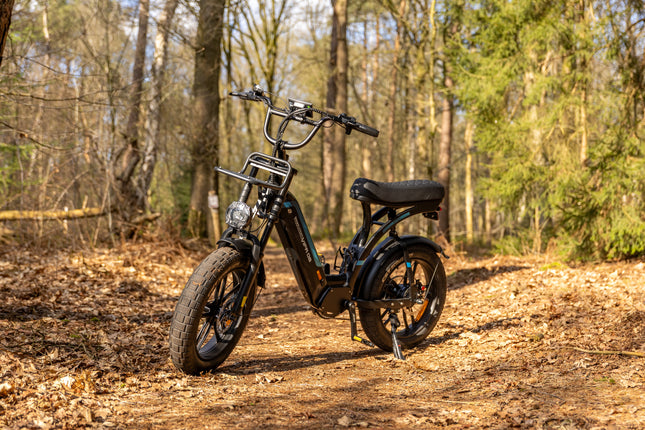 OUXI Q8 - Lage Instap Fatbike