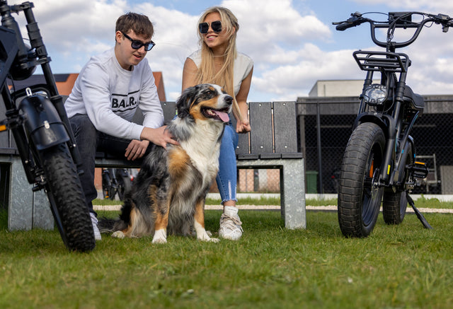 <h1>Altijd de nieuwste versie fatbike.</h1>