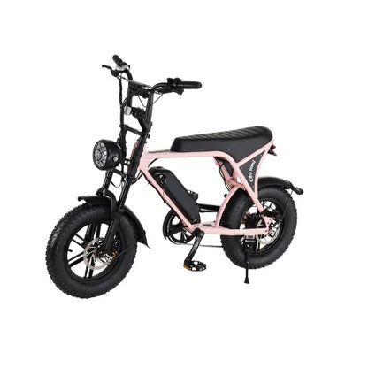 C80 Mini - Fatbike