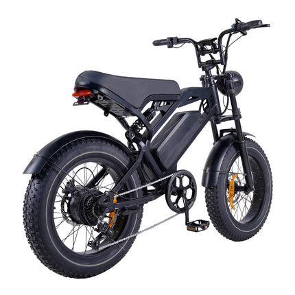 V20 Pro Fatbike
