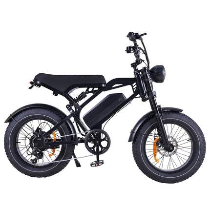 V20 Pro Fatbike