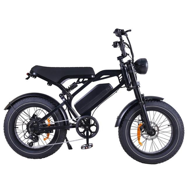 V20 Pro Fatbike