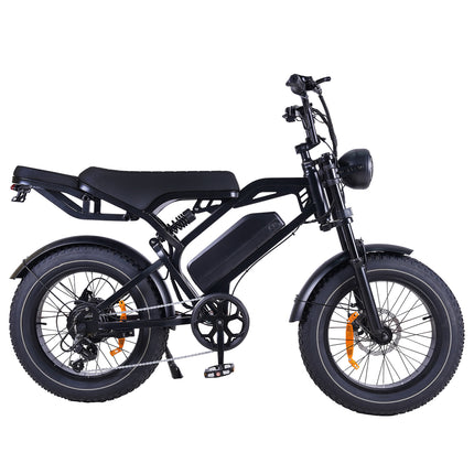 V20 Pro Fatbike