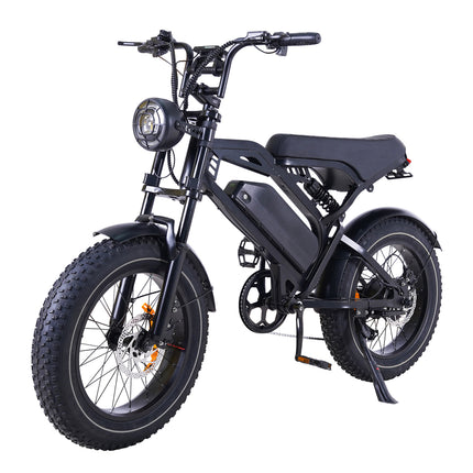 V20 Pro Fatbike
